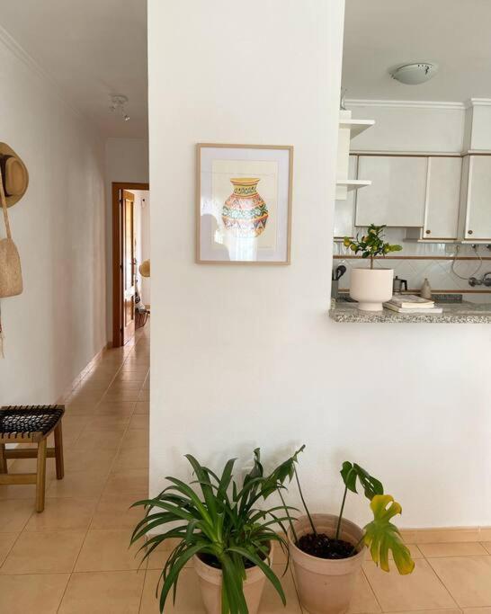Apartamento Mediterraneo Entre Vinedos Jesus Pobre Εξωτερικό φωτογραφία